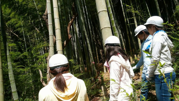 【採択プロジェクト】広げよう！竹の可能性